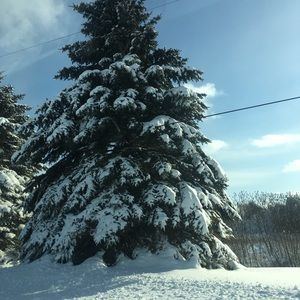 Meet your Posher, Lena